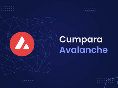 Cumpara Avalanche